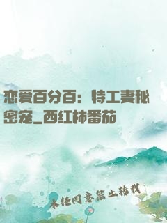 恋爱百分百：特工妻秘密宠