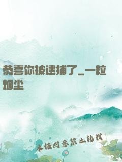 恭喜你被逮捕了