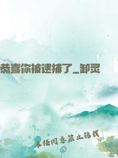 恭喜你被逮捕了
