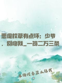 恶魔校草有点坏：少爷，别吻我