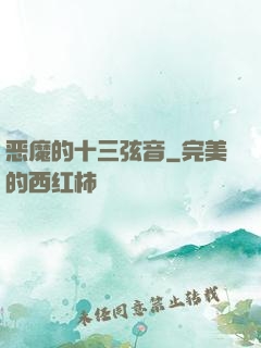 恶魔的十三弦音