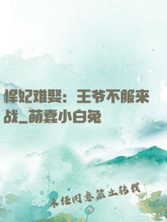 悍妃难娶：王爷不服来战