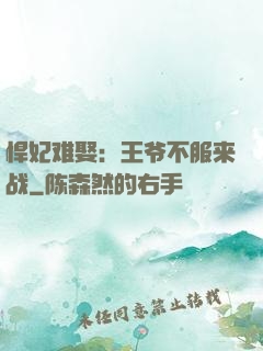 悍妃难娶：王爷不服来战