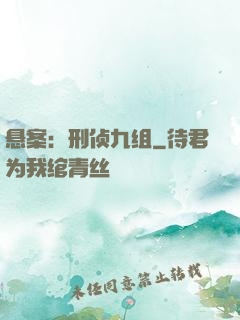 悬案：刑侦九组