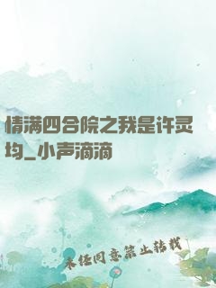 情满四合院之我是许灵均
