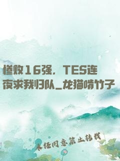 惨败16强，TES连夜求我归队
