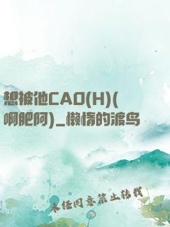 想被他CAO(H)(啊肥阿)