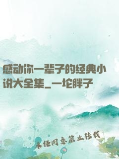 感动你一辈子的经典小说大全集