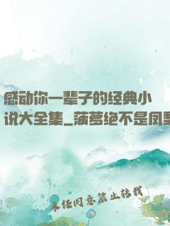 感动你一辈子的经典小说大全集