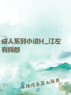 成人系列小说H