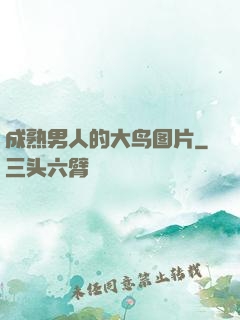 成熟男人的大鸟图片