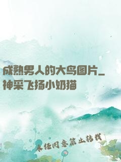 成熟男人的大鸟图片