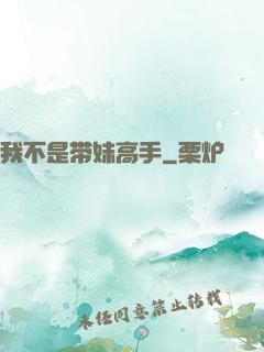 我不是带妹高手