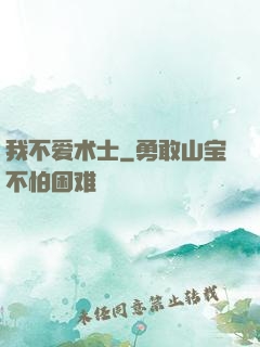 我不爱术士