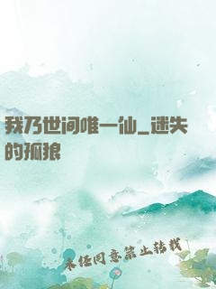 我乃世间唯一仙