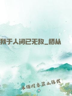 我于人间已无敌