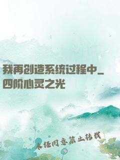 我再创造系统过程中