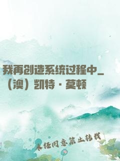 我再创造系统过程中