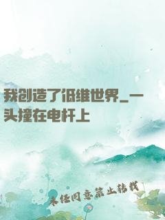我创造了低维世界