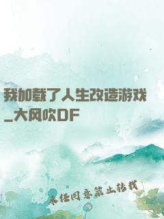 我加载了人生改造游戏