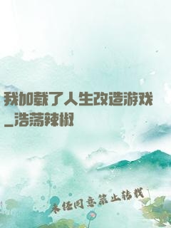 我加载了人生改造游戏