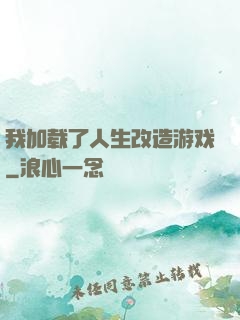 我加载了人生改造游戏