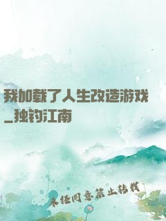我加载了人生改造游戏