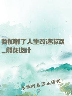 我加载了人生改造游戏