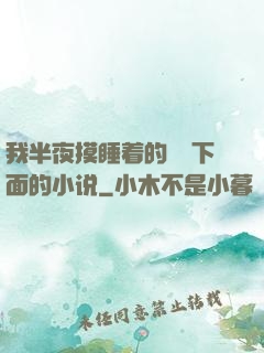 我半夜摸睡着的妺妺下面的小说
