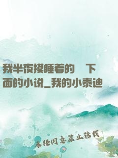 我半夜摸睡着的妺妺下面的小说