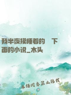 我半夜摸睡着的妺妺下面的小说