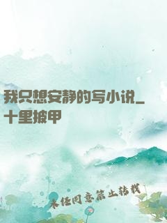 我只想安静的写小说