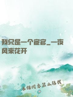 我只是一个宦官