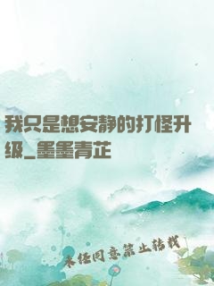 我只是想安静的打怪升级