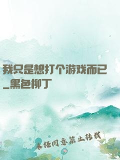 我只是想打个游戏而已