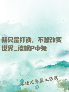 我只是打铁，不想改变世界