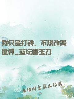 我只是打铁，不想改变世界