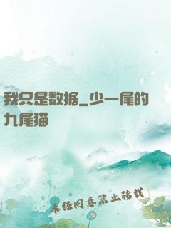 我只是数据