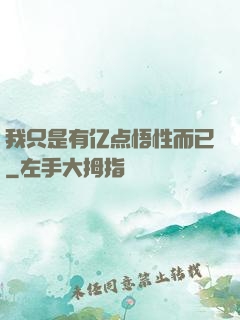 我只是有亿点悟性而已