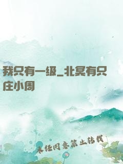 我只有一级