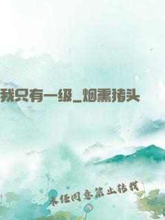 我只有一级