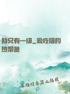 我只有一级