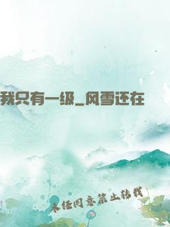 我只有一级