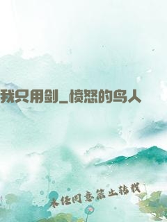 我只用剑