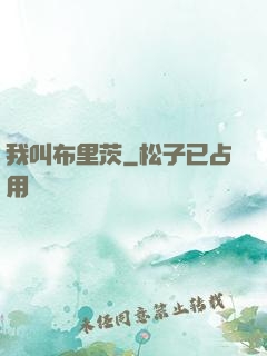 我叫布里茨