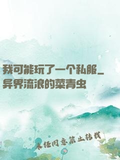 我可能玩了一个私服