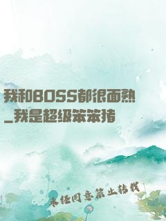 我和BOSS都很面熟