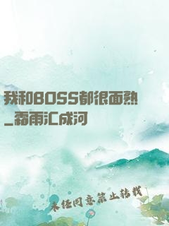 我和BOSS都很面熟