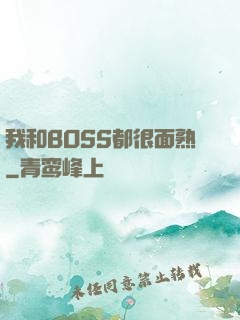 我和BOSS都很面熟