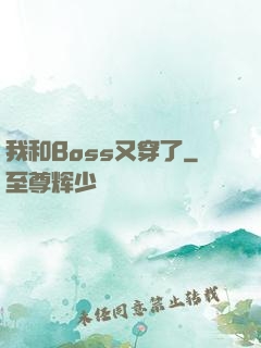 我和Boss又穿了